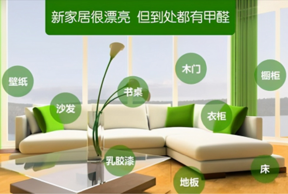 專業(yè)機構(gòu)除甲醛和自己除甲醛有啥區(qū)別？